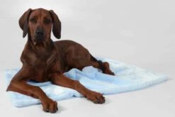 TrendPet Hondendeken Coco Blauw