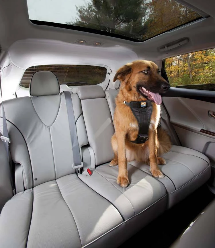 Kurgo Versterkt Hondentuig Voor De Auto Zwart 2 Kurgo Versterkt Hondentuig Voor De Auto Zwart - Afbeelding 2