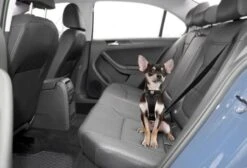 Kurgo Versterkt Hondentuig Voor De Auto Zwart 11 Kurgo Versterkt Hondentuig Voor De Auto Zwart -Huisdier Product Winkel image 1148