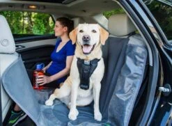 Kurgo Versterkt Hondentuig Voor De Auto Zwart 14 Kurgo Versterkt Hondentuig Voor De Auto Zwart -Huisdier Product Winkel image 1151