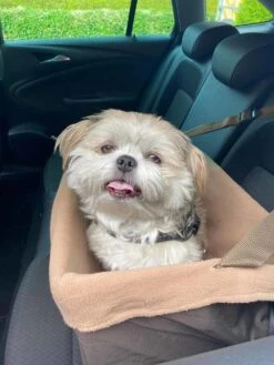 Nieuwe Producten -Huisdier Product Winkel image 1168