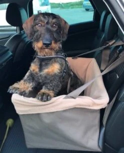 Petsafe Honden Autostoel Happy Ride Booster Seat -Huisdier Product Winkel image 1173