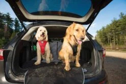 Kurgo Hondendeken Voor De Kofferbak Charcoal