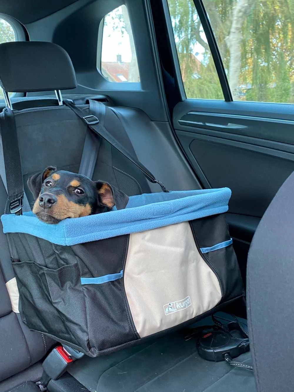 Kurgo Honden Autostoel Rover Booster Seat 3 Kurgo Honden Autostoel Rover Booster Seat - Afbeelding 3