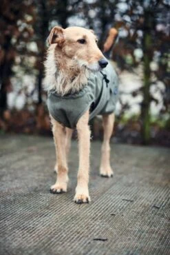 Hunter Hondenjas Uppsala Trend -Huisdier Product Winkel image 121