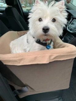 Nieuwe Producten -Huisdier Product Winkel image 1216