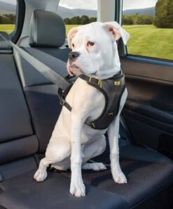 Kurgo Hondentuig Impact Dog Car Harness