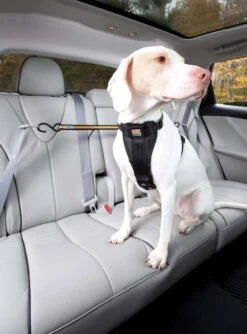 Kurgo Veiligheidsriem -Huisdier Product Winkel image 1271