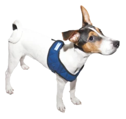 Aqua Coolkeeper Koel Harnas Comfy Pacific Blue