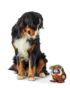 Hunter Hondenspeelgoed Gurupi 5 Hunter Hondenspeelgoed Gurupi -Huisdier Product Winkel image 133