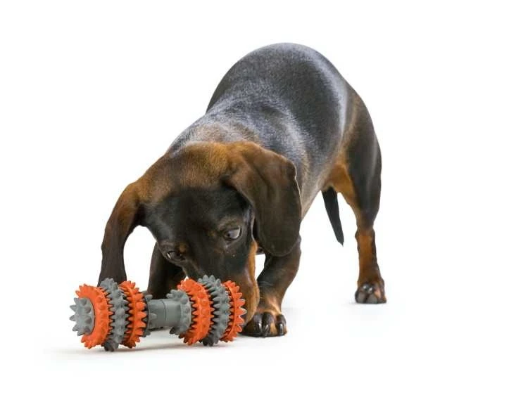 Hunter Hondenspeelgoed Tooth Cleaner 2 Hunter Hondenspeelgoed Tooth Cleaner - Afbeelding 2