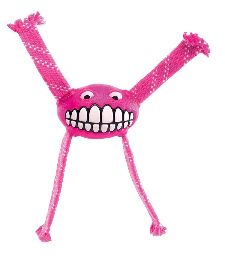 Rogz Hondenspeelgoed Flossy Grinz Roze 1 Rogz Hondenspeelgoed Flossy Grinz Roze