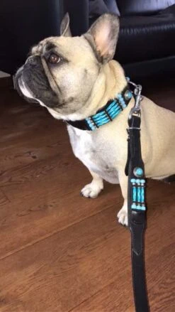 Doxtasy Hondenhalsband Blue River 35mm -Huisdier Product Winkel image 140