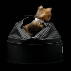 Sleepypod Draagtas Voor Huisdieren Medium Zwart -Huisdier Product Winkel image 1473