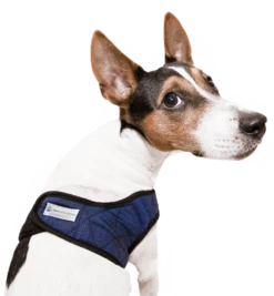 Aqua Coolkeeper Koel Harnas Comfy Pacific Blue -Huisdier Product Winkel image 15