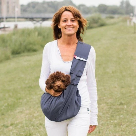 4LazyLegs Hondendraagtas Canvas Blauw Grijs 2 4LazyLegs Hondendraagtas Canvas Blauw Grijs - Afbeelding 2