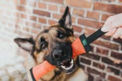 Hunter Dummy Trient -Huisdier Product Winkel image 1550