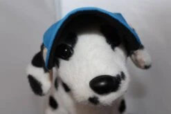 Machiko Hondenpet Blauw -Huisdier Product Winkel image 1554