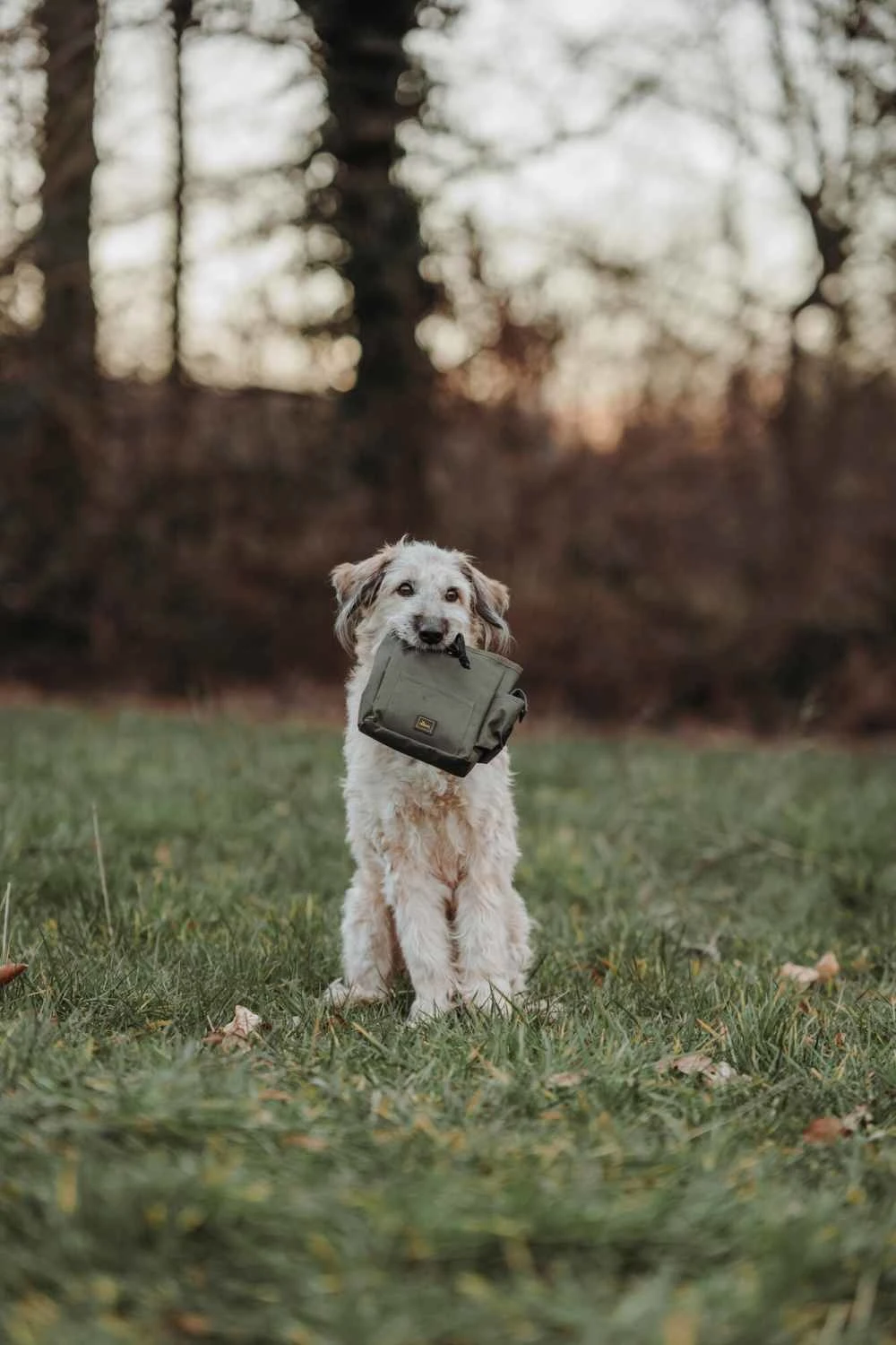 Hunter Beloningszakje Tyra Khaki 2 Hunter Beloningszakje Tyra Khaki - Afbeelding 2