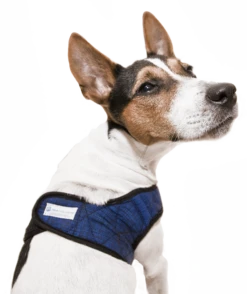 Aqua Coolkeeper Koel Harnas Comfy Pacific Blue -Huisdier Product Winkel image 16
