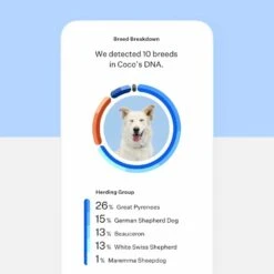 Wisdom Panel Essential DNA Test -Huisdier Product Winkel image 1620