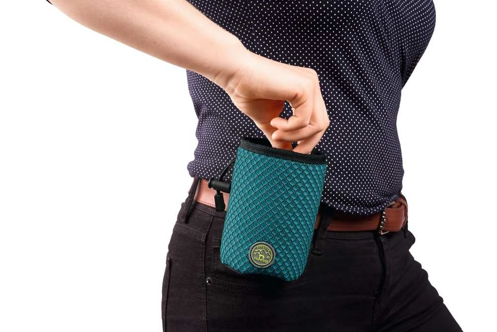 Hunter Beloningszakje Hilo Turquoise 2 Hunter Beloningszakje Hilo Turquoise - Afbeelding 2