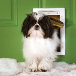 Petsafe Staywell Huisdierenluik Extreme Weather -Huisdier Product Winkel image 1663