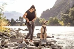 Curli Beloningszakje Grijs -Huisdier Product Winkel image 1685