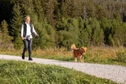 Curli Beloningszakje Grijs -Huisdier Product Winkel image 1686