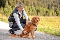 Curli Beloningszakje Grijs -Huisdier Product Winkel image 1687