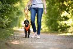 Curli Beloningszakje Grijs -Huisdier Product Winkel image 1689