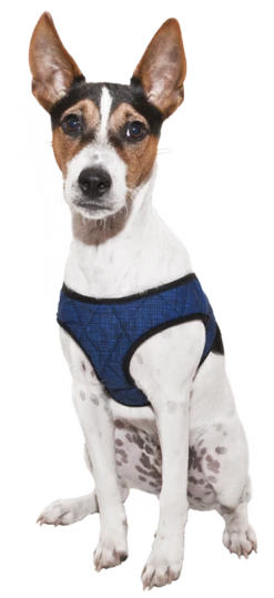 Aqua Coolkeeper Koel Harnas Comfy Pacific Blue -Huisdier Product Winkel image 17