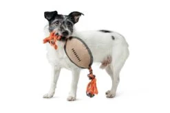 Nieuwe Producten -Huisdier Product Winkel image 1707