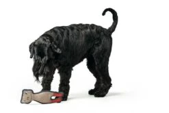 Hunter Hondenspeelgoed Pombas -Huisdier Product Winkel image 1710