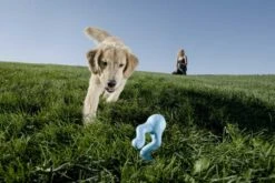 West Paw Design Hondenspeelgoed Zogoflex Tizzi Aqua