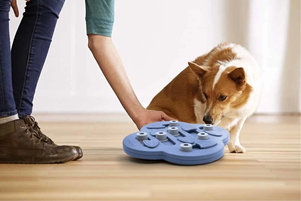 Nina Ottosson Hondenpuzzel Hide N' Slide Composiet 3 Nina Ottosson Hondenpuzzel Hide N' Slide Composiet - Afbeelding 3