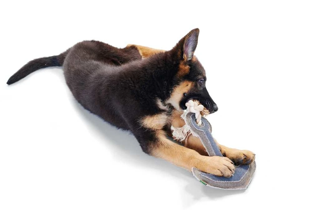 Hunter Hondenspeelgoed Canvas Anchor 2 Hunter Hondenspeelgoed Canvas Anchor - Afbeelding 2