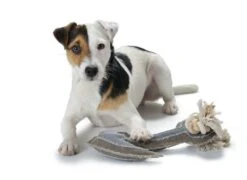 Hunter Hondenspeelgoed Canvas Anchor 6 Hunter Hondenspeelgoed Canvas Anchor -Huisdier Product Winkel image 1780