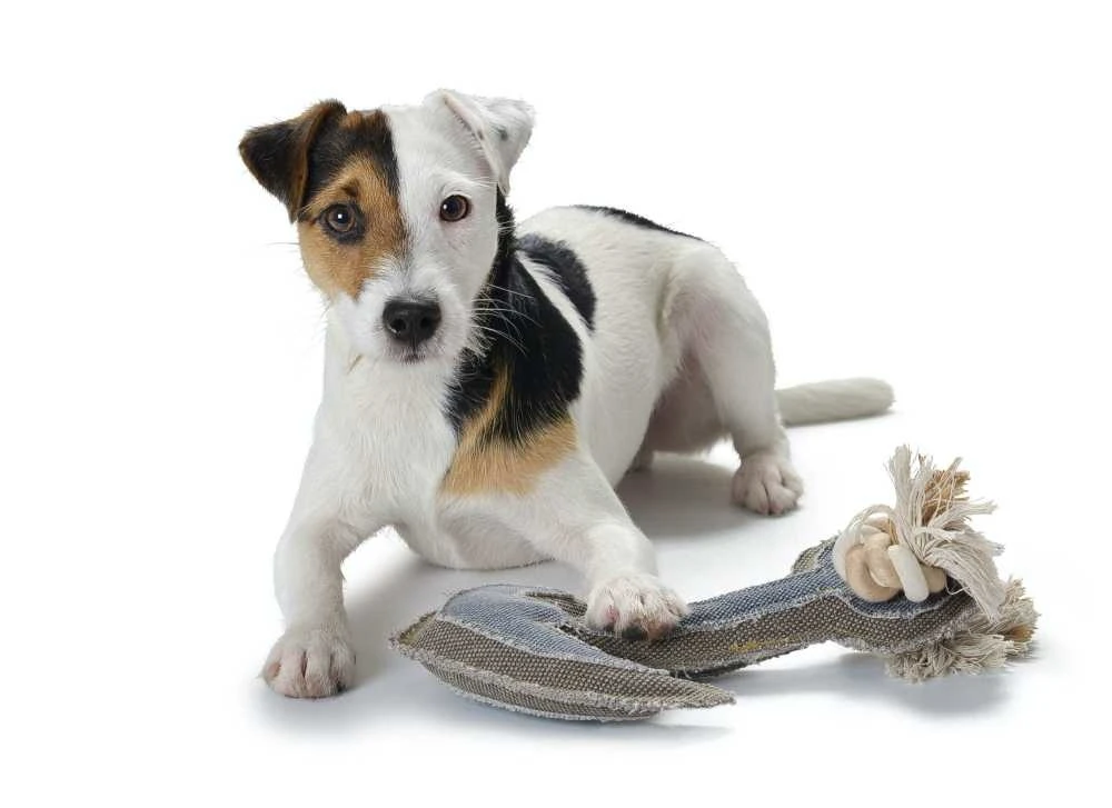 Hunter Hondenspeelgoed Canvas Anchor 3 Hunter Hondenspeelgoed Canvas Anchor - Afbeelding 3