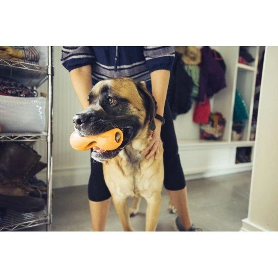 West Paw Design Hondenspeelgoed Zogoflex Qwizl Oranje 2 West Paw Design Hondenspeelgoed Zogoflex Qwizl Oranje - Afbeelding 2