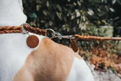 Hunter Hondenriem Solid Education Cognac -Huisdier Product Winkel image 1840