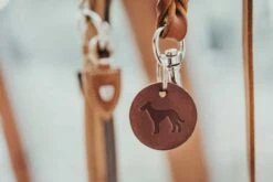 Hunter Hondenriem Solid Education Cognac -Huisdier Product Winkel image 1841