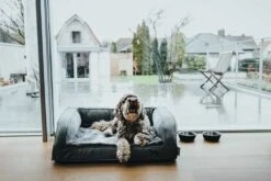 Hunter Orthopedische Hondenmand Livingstone -Huisdier Product Winkel image 1921