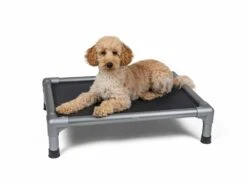 TrendPet Hondenmand High Bed -Huisdier Product Winkel image 1936