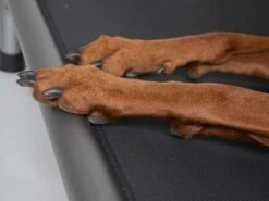 TrendPet Hondenmand High Bed -Huisdier Product Winkel image 1941