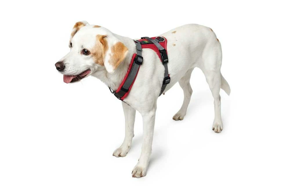 Hunter Hondentuig Maldon Rood 3 Hunter Hondentuig Maldon Rood - Afbeelding 3