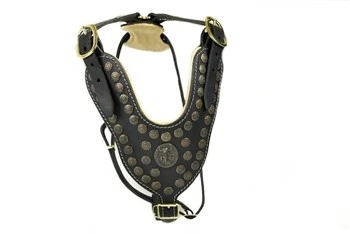 Dean And Tyler Hondentuig The Viking 2 Dean And Tyler Hondentuig The Viking - Afbeelding 2