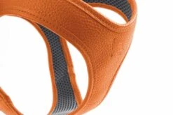 Hunter Hondentuig Hilo Oranje -Huisdier Product Winkel image 2020