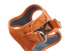 Hunter Hondentuig Hilo Oranje -Huisdier Product Winkel image 2022