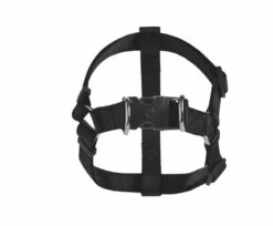 Huisdier Product Winkel 19 Huisdier Product Winkel -Huisdier Product Winkel image 2025